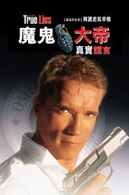 真实的谎言 封面