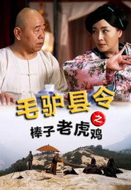 毛驴县令之棒子老虎鸡 封面