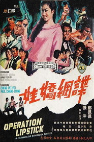 谍网娇娃 封面