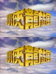 小侠龙旋风 封面