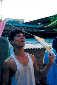 牛奶 封面