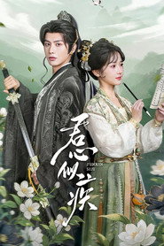 君心似疾 封面