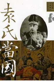 袁氏当国 封面