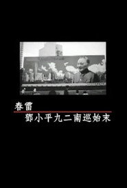 凤凰大视野：春雷-邓小平九二南巡始末 封面