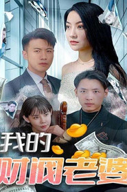 我的财阀老婆 封面