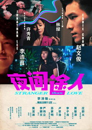 夜间途人 封面