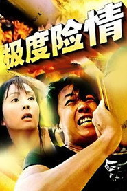 极度险情 封面