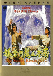 南拳北腿斗金狐 封面