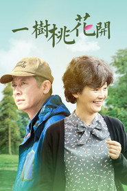 一树桃花开 封面