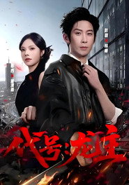代号：龙主 封面