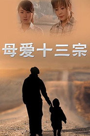 母爱十三宗 封面