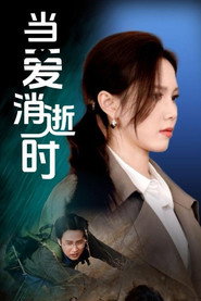 当爱消逝时 封面