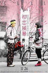 初恋风暴 封面