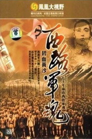 碧血黄沙:70年前的西路军魂 封面