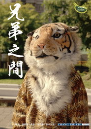 兄弟之間 封面