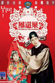 凤还巢 封面