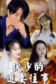 狄少的追妻往事 封面