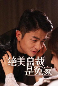 绝美总裁是冤家 封面