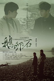 鹅卵石 封面