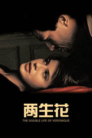 两生花 封面