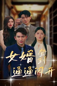 女婿驾到,通通闪开 封面