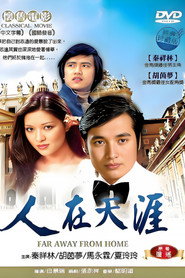 人在天涯 封面