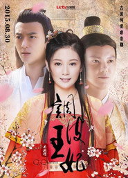 调皮王妃 封面