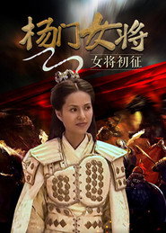杨门女将之女将初征 封面