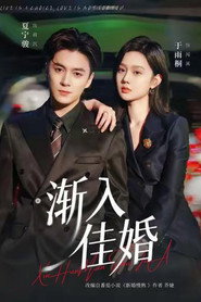 渐入佳婚 封面