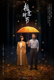 相逢时节 封面