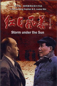 红日风暴 封面