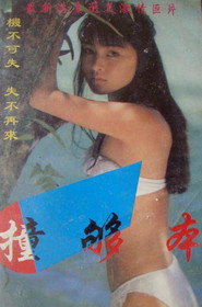 撞够本 封面