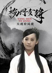 杨门女将之天波府风波 封面