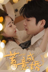 蓄意成婚 封面