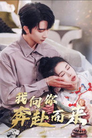 我向你奔赴而来 封面