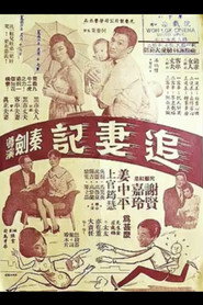 追妻記 封面