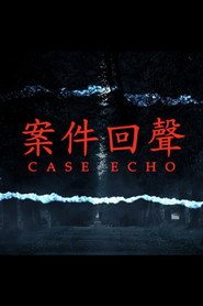案件回声 封面