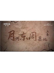 月河东周墓地 封面