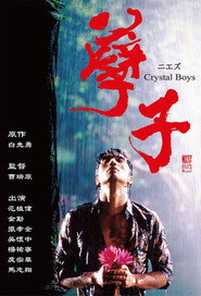 孽子 封面