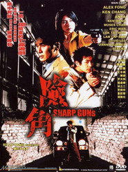 险角 封面