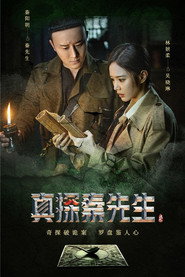 真探秦先生 封面