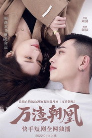 万渣朝凰 封面