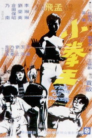 小拳王 封面