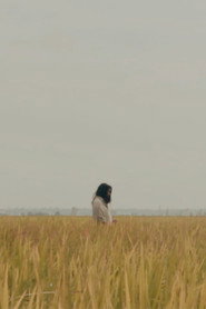 The Lost Piece 封面