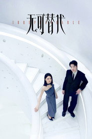 无可替代 封面