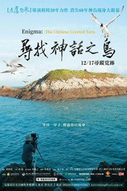 寻找神话之鸟 封面