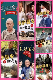 毛驴县令 第一季 封面