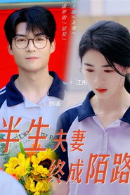 半生夫妻终成陌路 封面