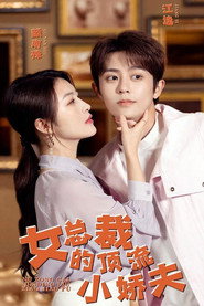 女总裁的顶流小娇夫 封面