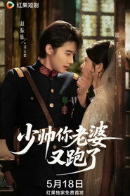 少帅你老婆又跑了 封面